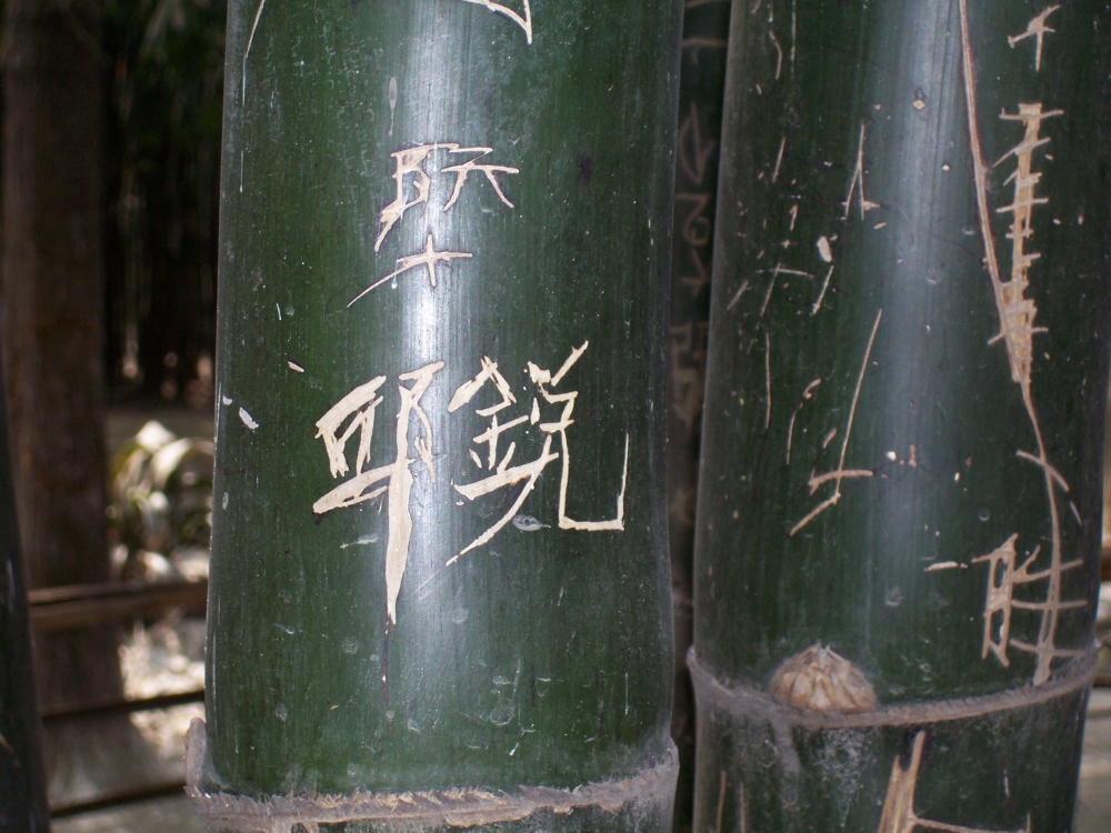  Bambuspark in China ID = 